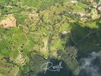 Beautiful Houses for sale in Rozella