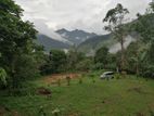 Beautiful Land For Kalupahana