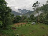 Beautiful Land For Kalupahana