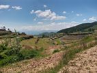 Beautiful Land for Sale Ambewela