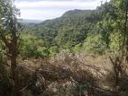 Beautiful Land for Sale – Belihuloya
