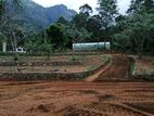 Beautiful Land for Sale Nidangoda
