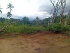Beautiful Land for Sale- Gelioya