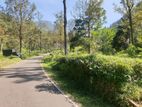 Beautiful Land for Sale-ඉදල්ගස්හින්න