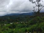 Beautiful Land for Sale in Bandarawela