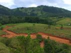 Beautiful Land for Sale in Kandy Deltota