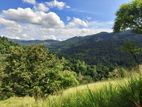 Beautiful Land for Sale in Kandy Deltota