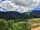 Beautiful Land for Sale in Kandy Deltota