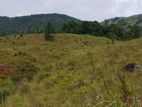 Beautiful Land for sale in Kandy Deltota