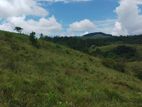 Beautiful Land for Sale in Kandy Deltota