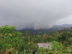 Beautiful Land for Sale in Kandy Galaha