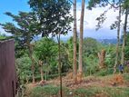 Beautiful Land For Sale In Kandy Hanthana