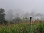 Beautiful Land for Sale in Pussellawa