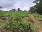Beautiful Land for Sale in Pussellawa