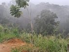 Beautiful Land for Sale in Pussellawa Wahurupitiya