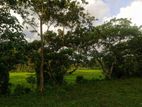 Beautiful Land for Sale - Kahathuduwa