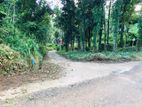 BEAUTIFUL LAND FOR SALE NELUNDENIYA