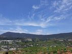 BEAUTIFUL LAND FOR SALE NUWARAELIYA