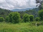 BEAUTIFUL LAND FOR SALE PILIMATHALAWA