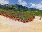Beautiful Land in Delthota