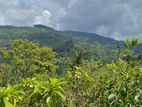 Beautiful Land in Kandy Bordering to Knuckles Mountain Range