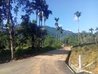 Beautiful Land in Nawalapitiya