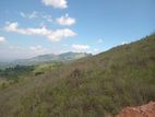 Beautiful land in Nilaba.