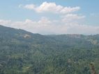 Beautiful land in ❤️Nilamba