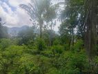 Beautiful Land in Pilimathalawa
