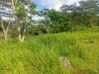Beautiful land in pussalawa