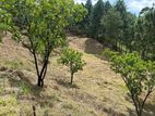 Beautiful Land Plots for Sale in Ella