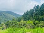 Beautiful Land Plots for Sale in Ella