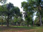 Beautiful Land plots for sale in Ragama