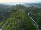 Beautiful Land Plots Sale in Watawala