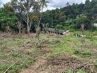 Beautiful land sale in gelioya