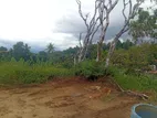 Beautiful land sale in gelioya
