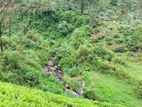 Beautiful Land Sale in Hatton