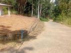 Beautiful land sale in Nelumdeniya