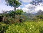 Beautiful Land Sale in Pussalawa