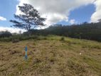 Beautiful Land Sale in Pussalawa