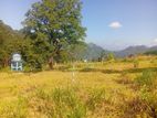 Beautiful land 🥰sale🌄in pussalawa