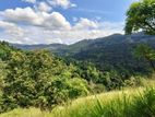 Beautiful lands for Sale in Kandy Deltota