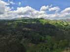 Beautiful Lands for Sale in Kandy Deltota