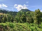 Beautiful lands for Sale in Kandy Hadeniya Bolagala