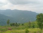 Beautiful Lands for Sale in Nuwaraeliya Pudaluoya