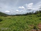 Beautiful Location Land for Sale in Padukka