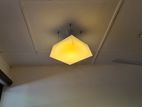 Beautiful Modern Hanging Light