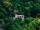 Beautiful Mountain Hotel in Kandy