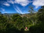 Beautiful Mountain View Land near Bandarawela and Haputale