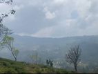 Beautiful Mountain View Land Sale in Pundaluoya